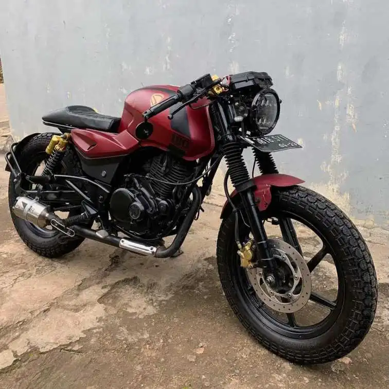 Modified Pulsar 200 into a Brat Style Cafe Racer