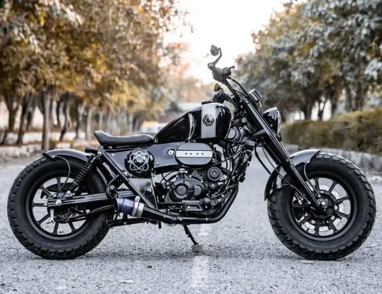 Modified Bajaj Avenger into a Harley Davidson Style Motorcycle